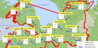 До 19 градусов тепла ожидается в Ленобласти 23 сентября