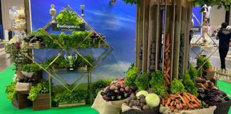 Ленобласть показала свою продукцию на выставке «Агрорусь»