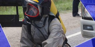 Более 30 человек пропадали в лесах Ленобласти на прошлой неделе