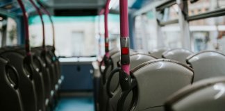 Названы самые популярные автобусные и троллейбусные маршруты Петербурга летом