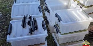Полиция накрыла нарколабораторию в Гатчинском округе