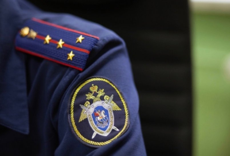 Смерть двоих 7-летних детей в Петербурге не носит криминальный характер — СМИ