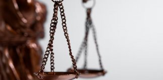 В Ленобласти суд отправил в колонию организаторов нелегальной миграции