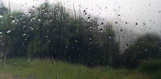 Желтый уровень погодной опасности ввели в Ленобласти на 24 сентября