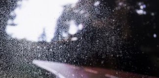 Штормовое предупреждение ввели в Ленобласти на 25 сентября
