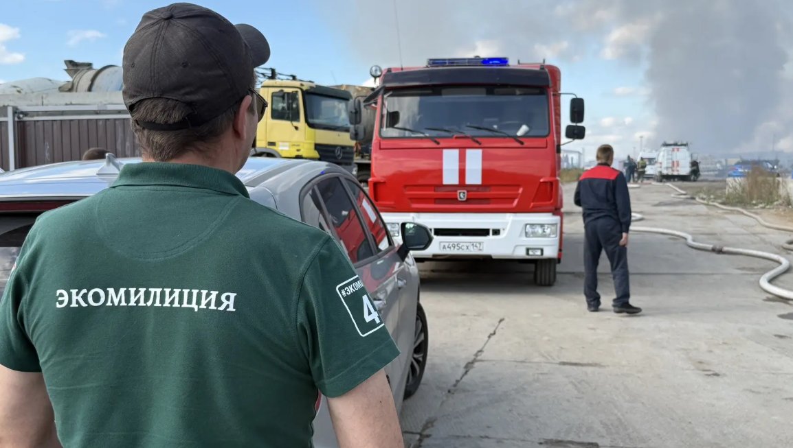 Незаконную свалку ликвидируют во Всеволожском районе - Ранее с организатором свалки взыскали почти 8 млн рублей, а теперь возбуждено уголовное дело.