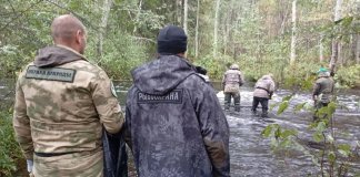 Запрещенные орудия лова изъяли в «Вепсском лесу»