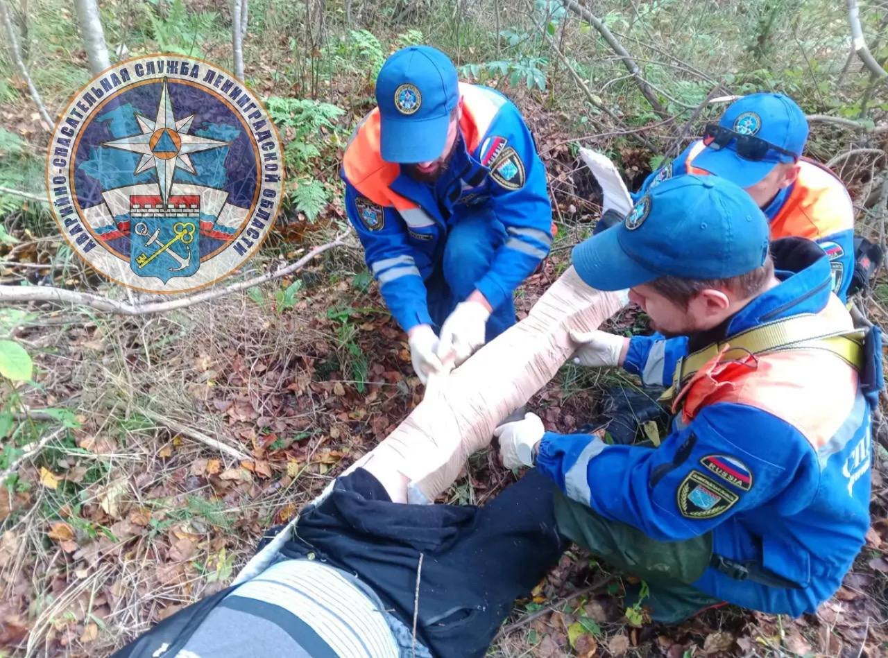 В Тосненском районе вывели из леса мужчину со сломанной ногой - Местный житель получил травму вовремя прогулки по лесному массиву.