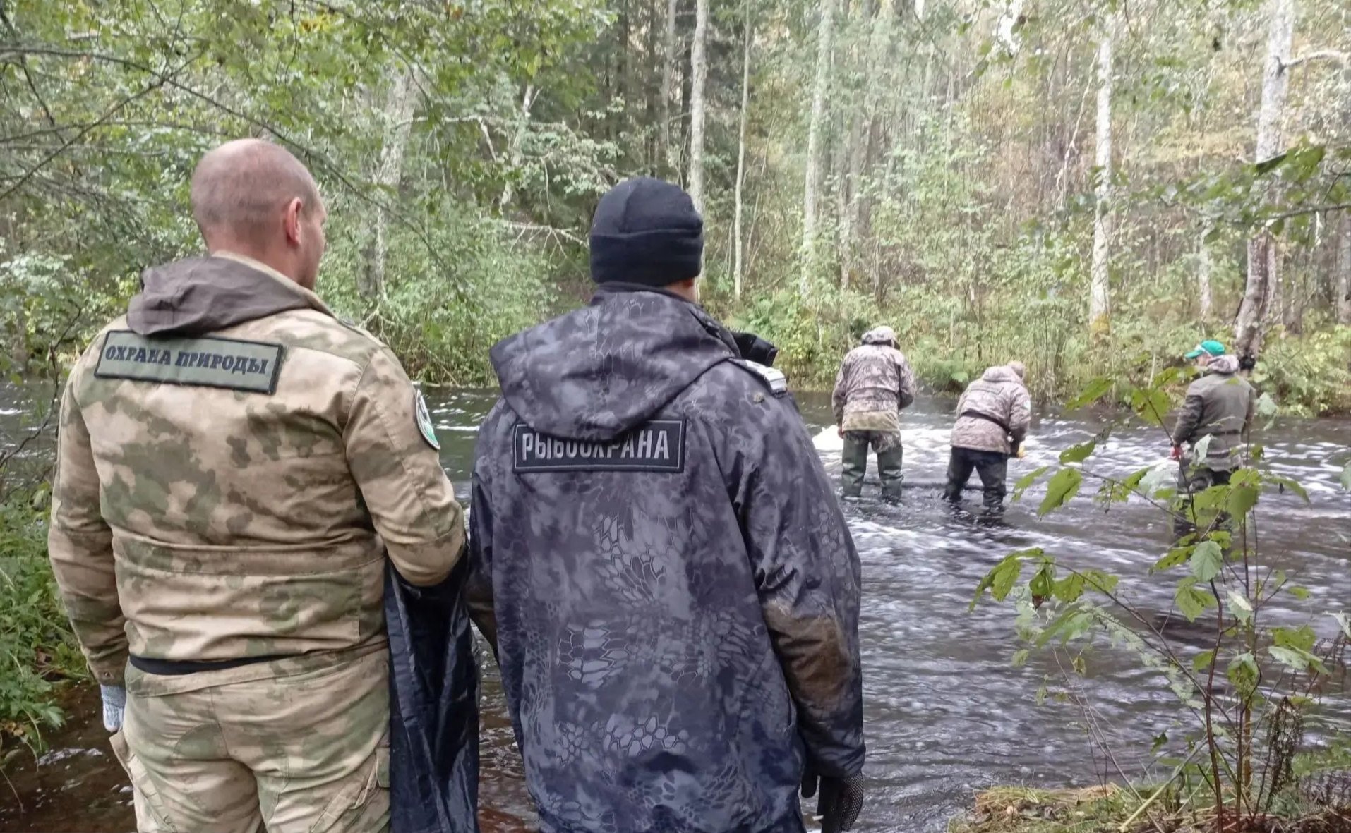 Запрещенные орудия лова изъяли в «Вепсском лесу» - В природном парке «Вепсский лес» Ленинградской области прошел совместный рейд по охране природных те