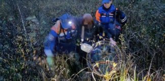 Женщина дождалась спасателей по колена в болоте в Кировском районе