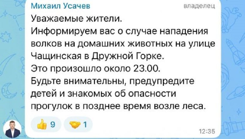 Волки напали на домашних животных в Гатчинском округе - Волки напали на домашних животных поздним вечером на Чащинской улице в поселке Дружная Горка Гатчинс