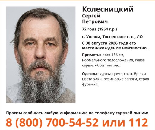 В Ленобласти четвертые сутки ищут пропавшего 72-летнего мужчину - Для поисков пенсионера поднимали БПЛА и вертолет.