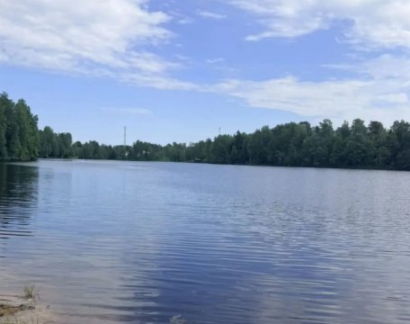 Во Всеволожском районе демонтировали незаконные сооружения в охранной зоне реки - Реку Глуховку очистили от незаконных построек.