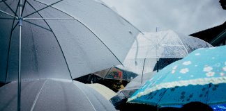 Кратковременные дожди и до +16 градусов – погода в Ленобласти на 6 сентября