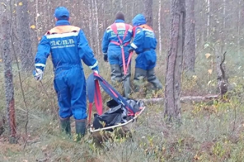 Тело пропавшей женщины нашли в лесу Кировского района - В Кировском районе Ленинградской области нашли погибшей женщину, которая накануне ушла за грибами в 