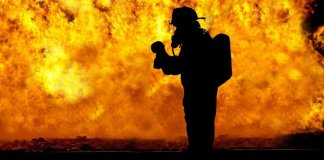 В Ленобласти за неделю ликвидировали 68 пожаров