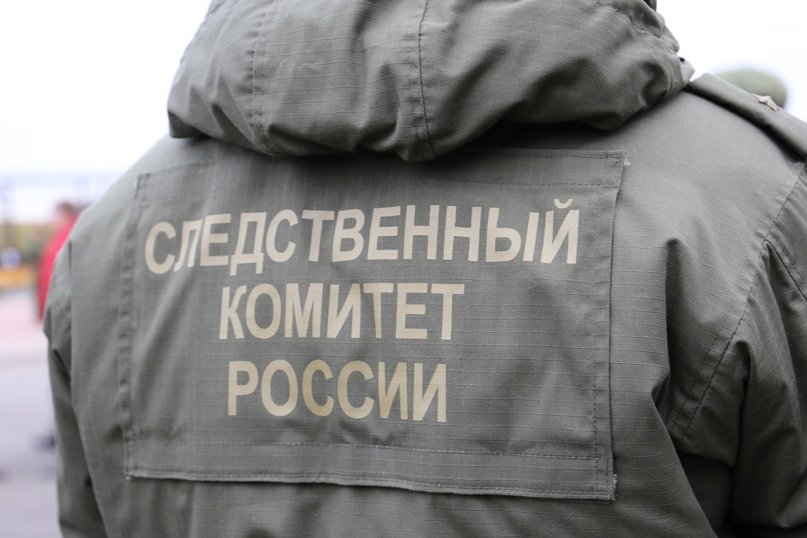 Бастрыкин потребовал доклад по делу о смерти роженицы в Ленобласти