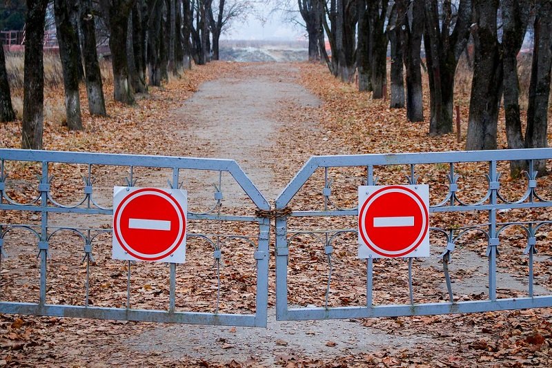 На 10 федеральных трассах в Ленобласти ограничено движение 7 сентября
