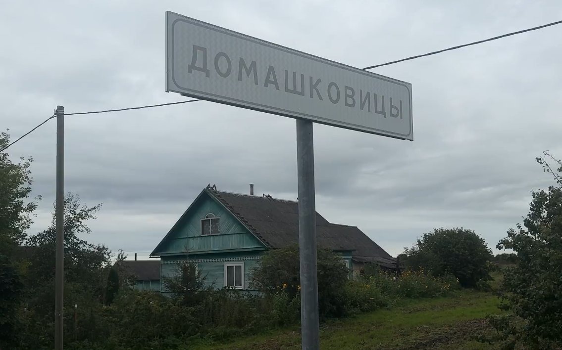 В деревне Волосовского района установят дорожную камеру после жалобы губернатору - Ранее местные жители жаловались на частые нарушения автомобилистами скоростного режима на местной до