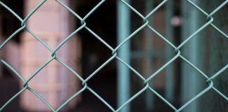 В Лодейном Поле мужчину отправили в колонию за попытку дачи взятки