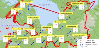 До +5 градусов похолодает в Ленобласти в ночь на 22 сентября