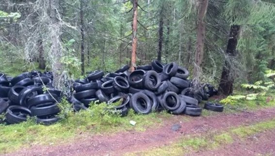 Неизвестные устроили свалку старых покрышек в Выборгском районе: прокуратура начала проверку - "Кладбище" автомобильных покрышек нашли у дороги в посёлке Заходское.