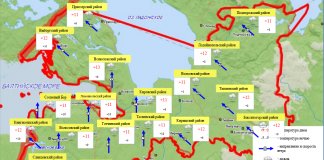 До +4 градусов похолодает в Ленобласти в ночь на 9 октября