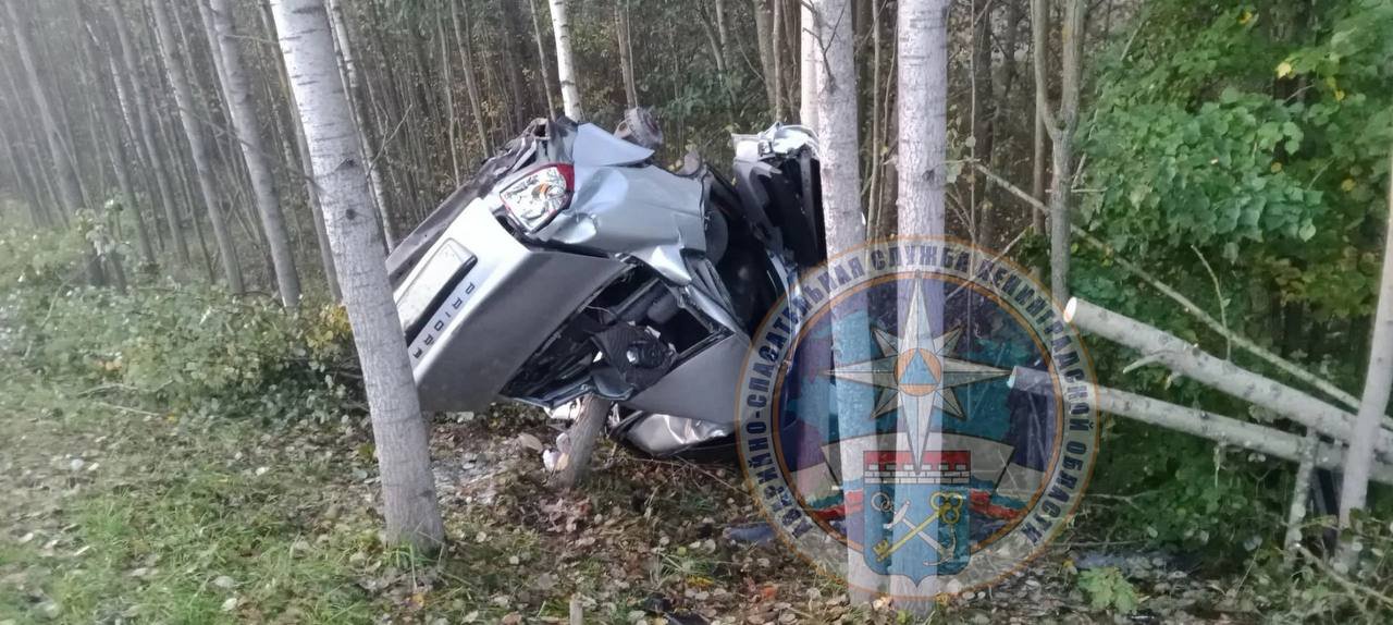 Водитель погиб после съезда в кювет на трассе «Кола» - Спасатели напоминают водителям о необходимости соблюдать скоростной режим, избегать резких маневров,