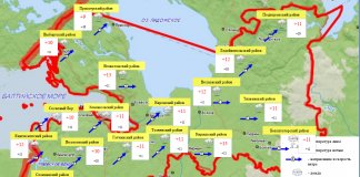 В Ленобласти 5 октября ожидаются дожди и до +15 °C
