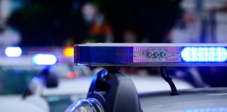 Следствие выяснило, чьи расчлененные останки нашли в Петербурге