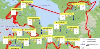 Ночные заморозки ждут Ленобласть 18 октября