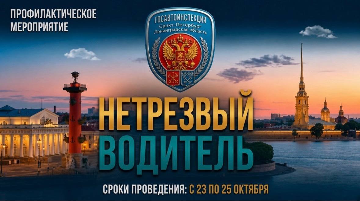 Пьяных водителей будут искать на дорогах Ленобласти и Петербурга на выходных - Госавтоинспекция проведет рейд «Нетрезвый водитель».