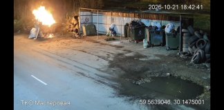 Видео: Двое мужчин подожгли мусорный контейнер в Гатчине