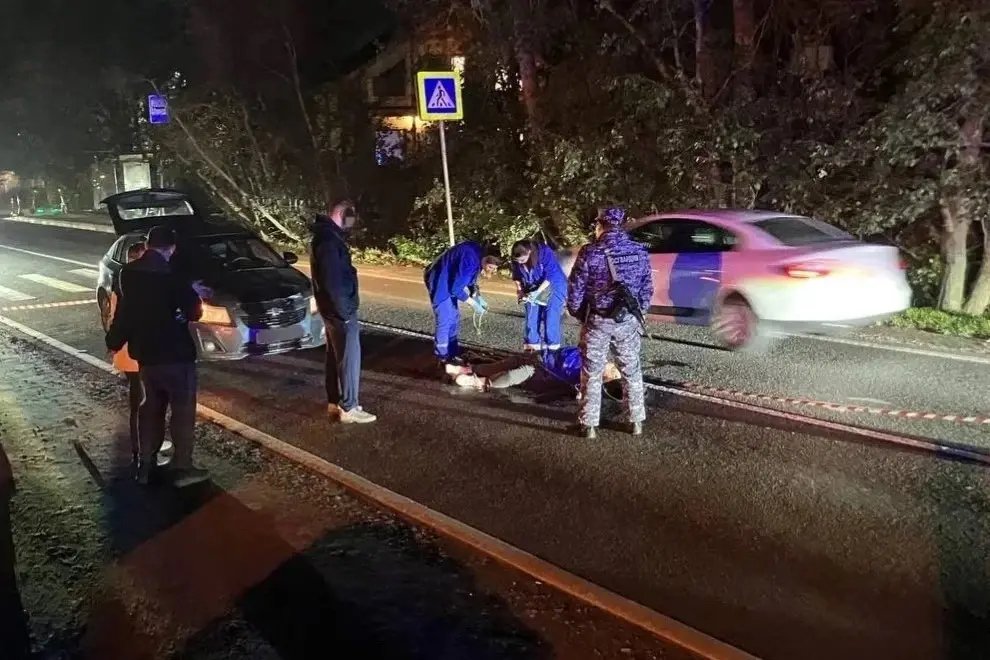 В Ольгино водитель насмерть сбил женщину и в шоке ходил вокруг места ДТП - Водитель находился в шоковом состоянии и ходил вокруг места происшествия.