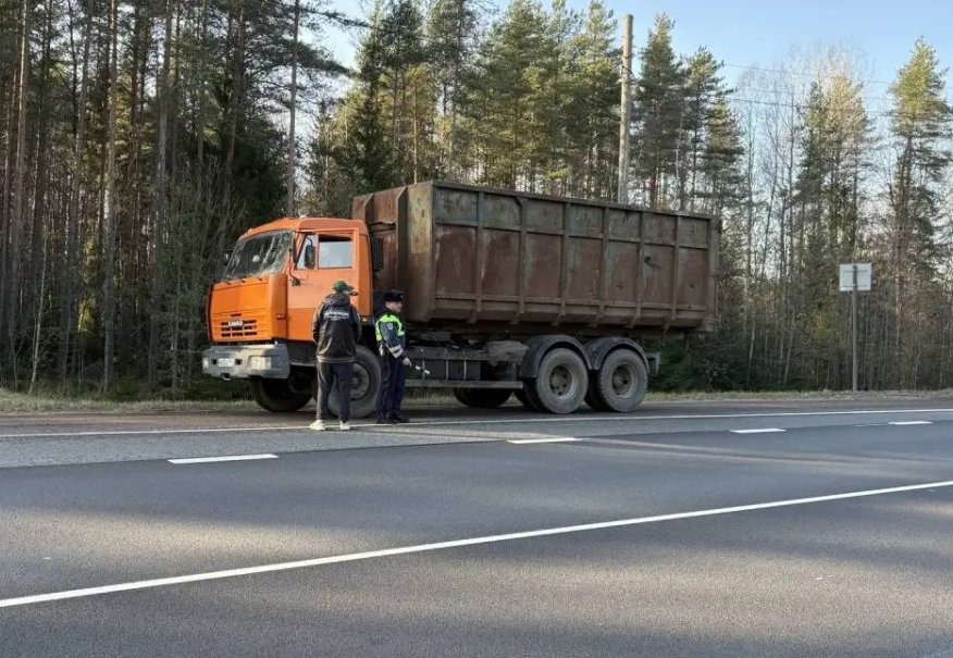 Очередной экологический рейд провели в Выборгском районе - Нарушителей привлекли к ответственности за игнорирование правил обращения с отходами.