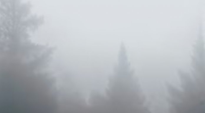 Желтый уровень непогоды вводят в Ленобласти на 2 октября
