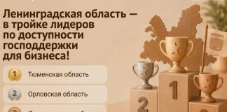 Ленобласть — в числе лидеров по доступности господдержки для бизнеса