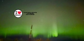 Жители Ленобласти наблюдали северное сияние