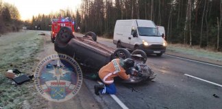 Два человека пострадали в ДТП с лосем на трассе вблизи деревни Иссад