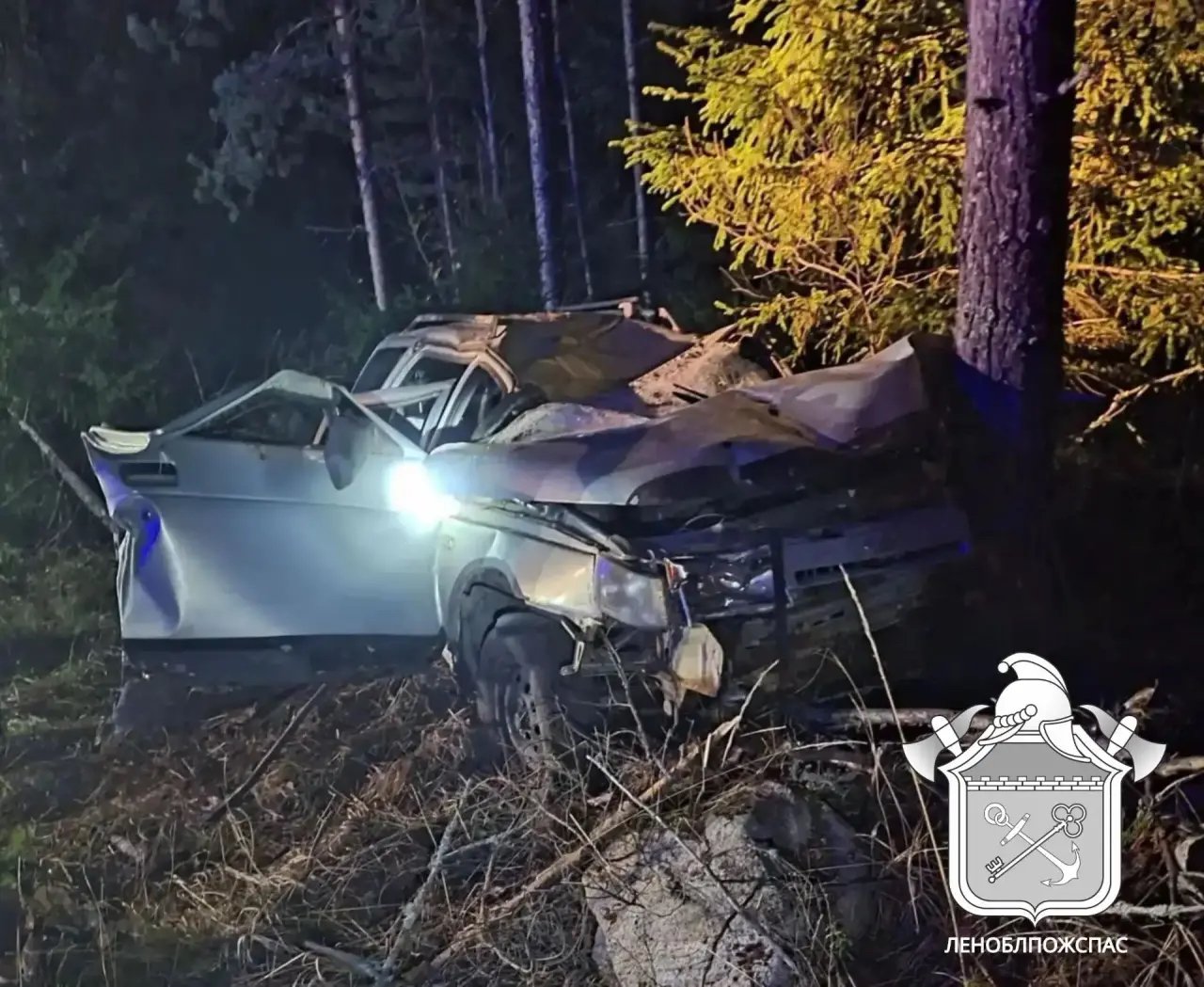 В Приозерском районе автомобиль сбил лося и врезался в дерево: пострадали два человека - Обоих пострадавших госпитализировали в Приозерскую межрайонную больницу.