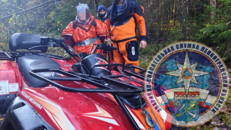 В Ленобласти спасатели нашли пропавшего в лесу пенсионера - Мужчина провел в кромешной темноте целую ночь, пока его не нашли спасатели.